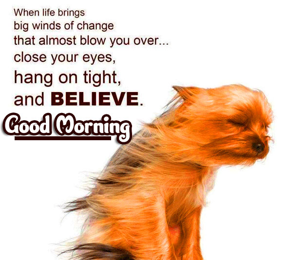 Funny Good Morning Wishes Images Download 105