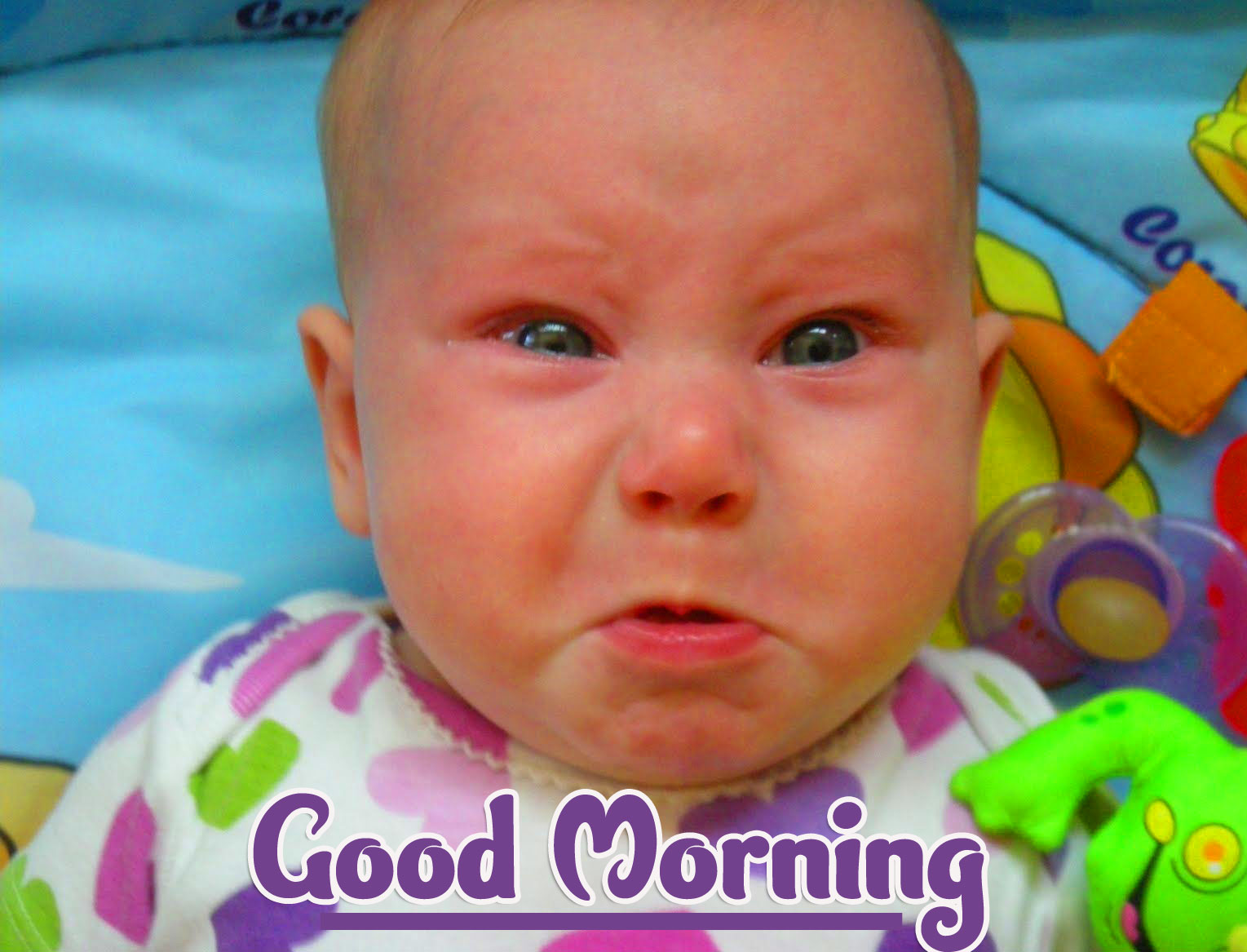 Funny Good Morning Wishes Wallpaper pics Download 