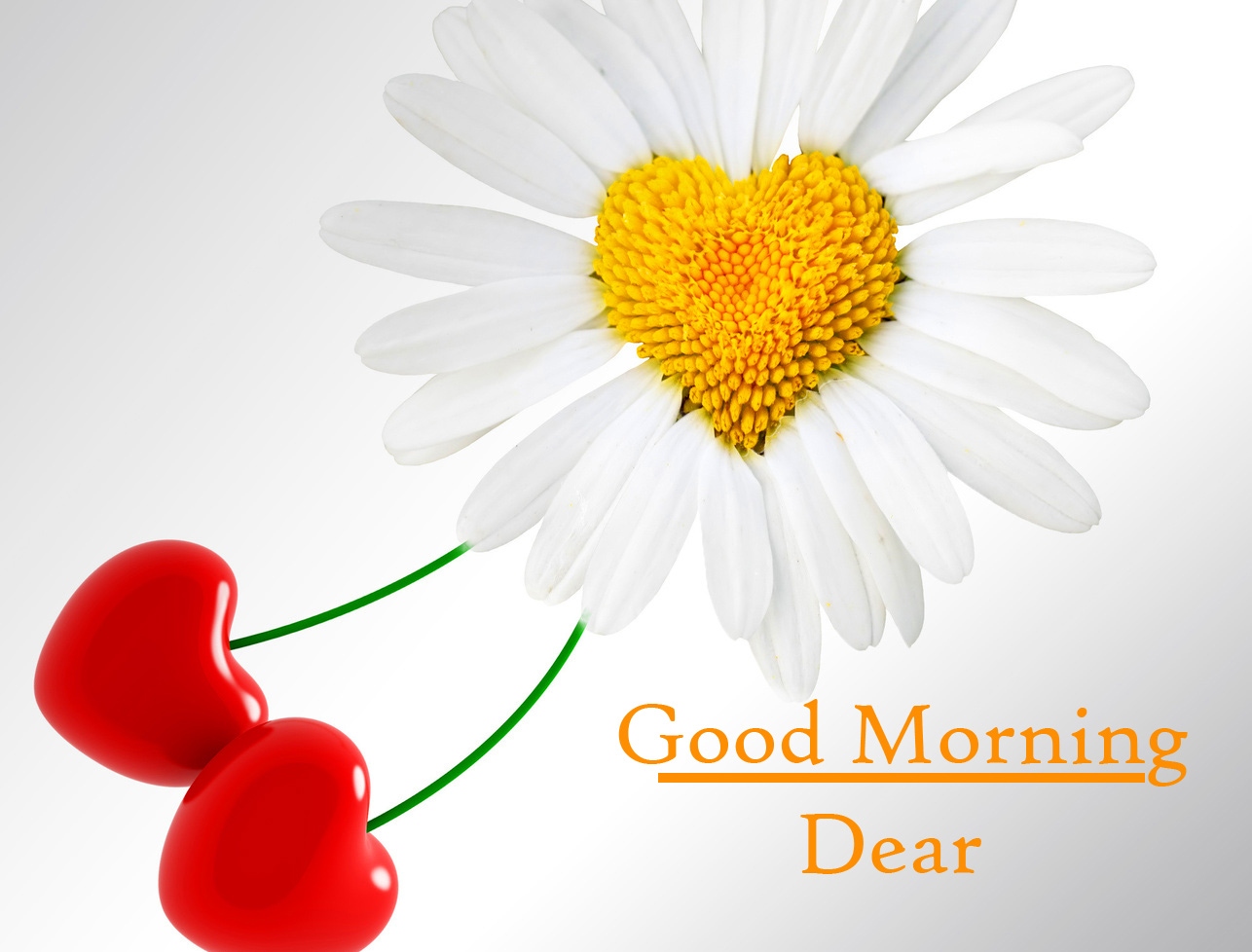 Girlfriend Romantic Good Morning Images Wallpaper Free Download 