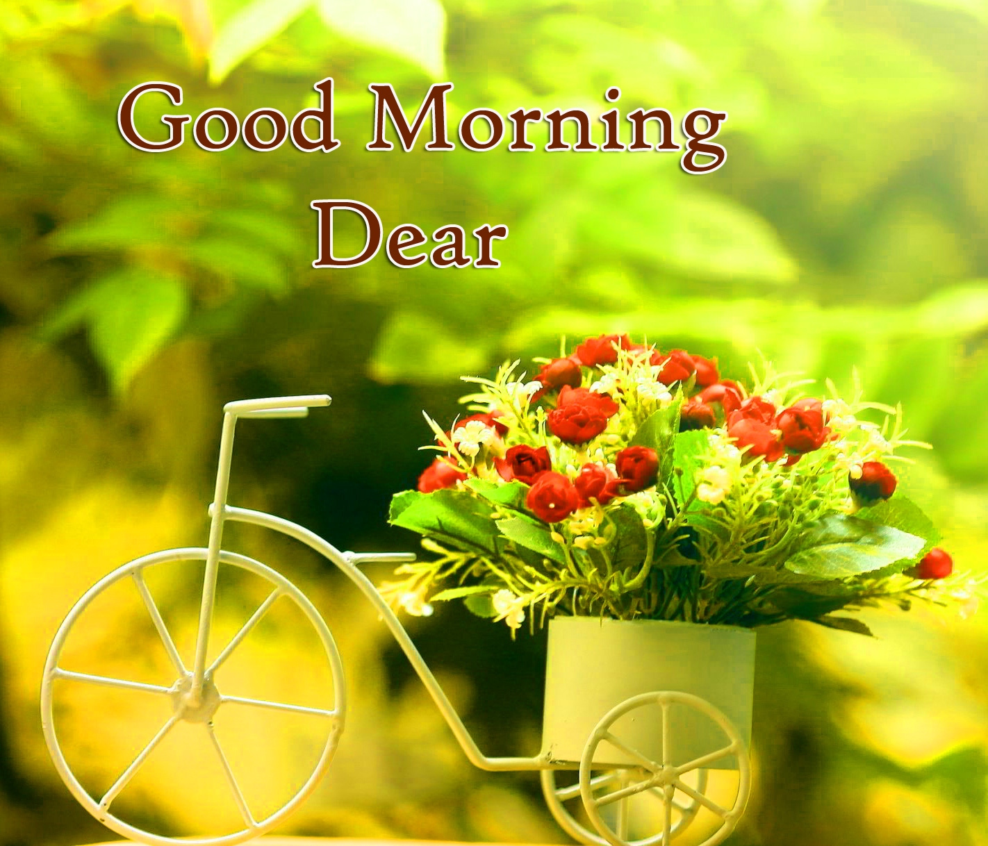 1798+ Romantic Good Morning Wishes To Wife