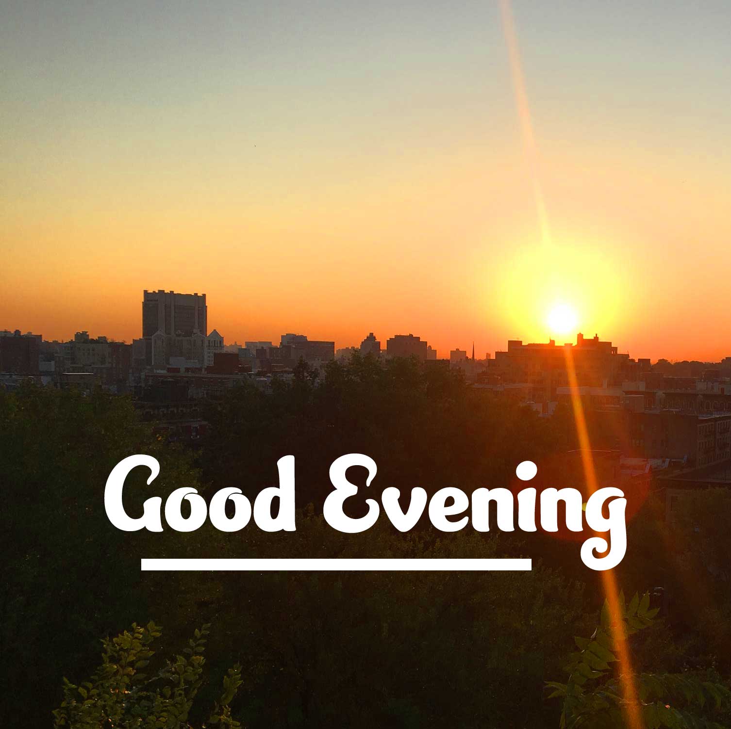 Good Evening Wishes Images Pics Wallpaper Free Download 