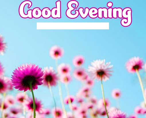 Best Free Good Evening Wishes Images Pics Download 