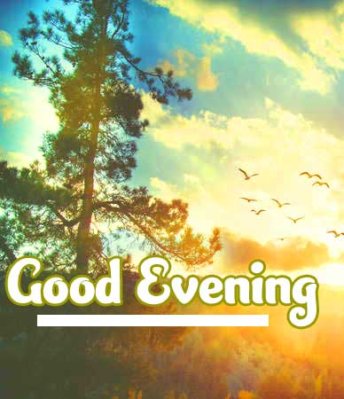 Good Evening Wishes Images Wallpaper Free Download 