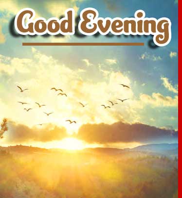 Beautiful Good Evening Wishes Images Wallpaper Free Download 
