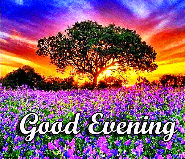 Good Evening Wishes Images Download 15