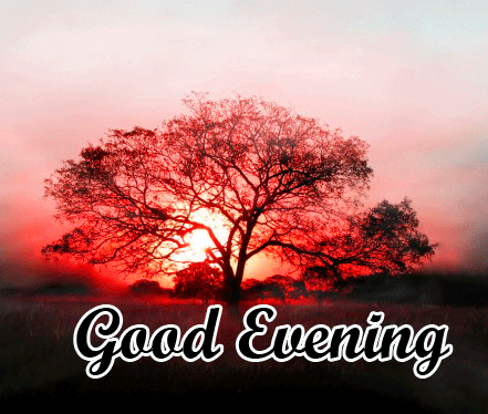 Good Evening Wishes Images Download 16