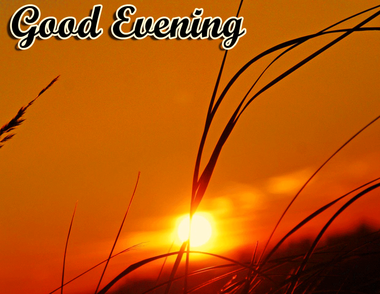 Good Evening Wishes Images Download 30