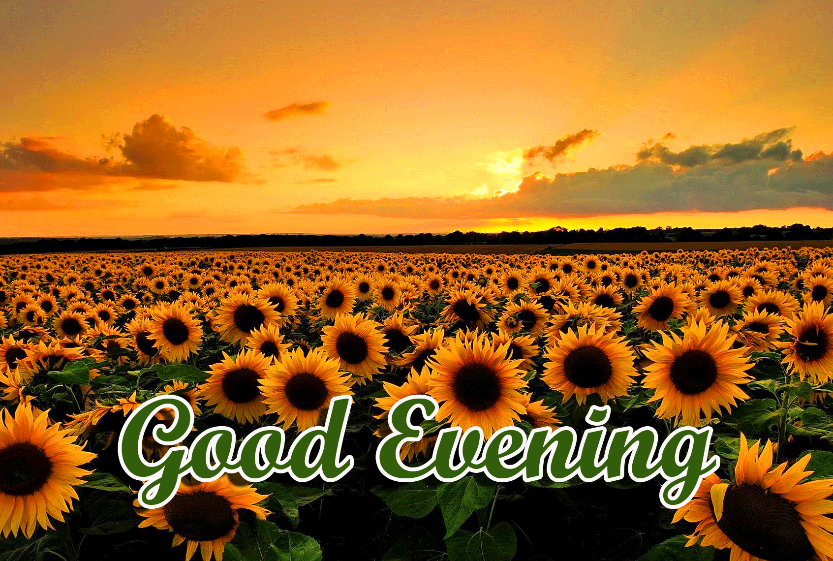 Good Evening Wishes Images Download 32
