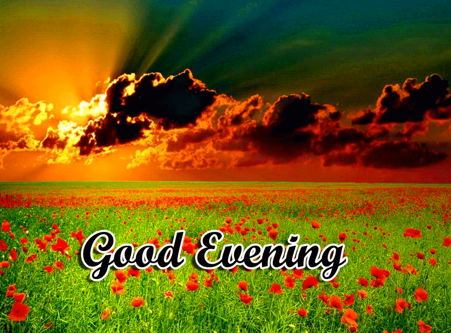 Good Evening Wishes Images Download 35