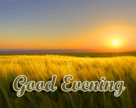 Good Evening Wishes Images Download 37