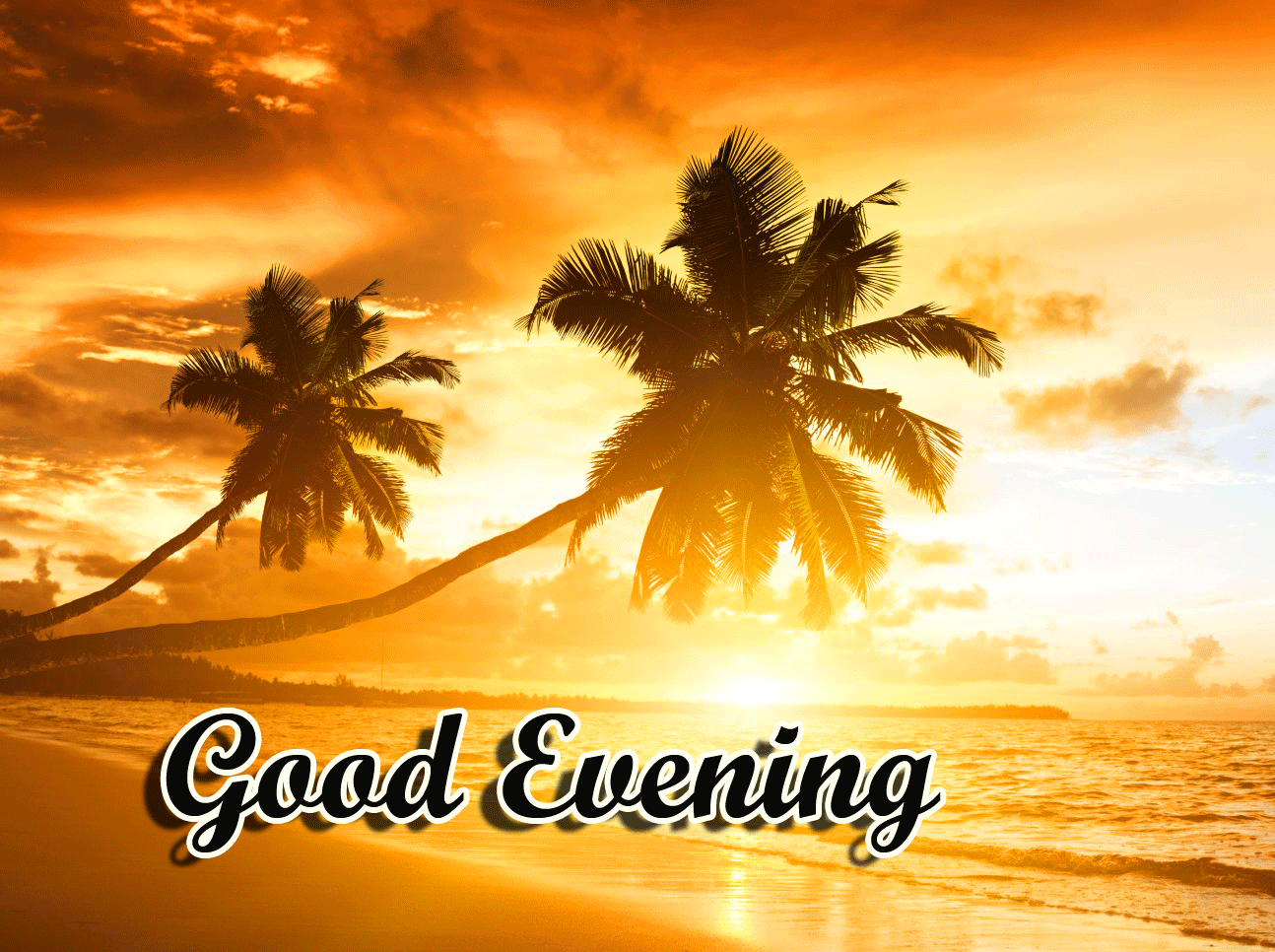 Good Evening Wishes Images Download 40