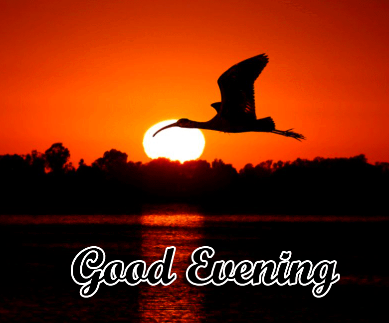 Good Evening Wishes Images Download 42