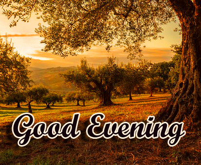 Good Evening Wishes Images Download 52