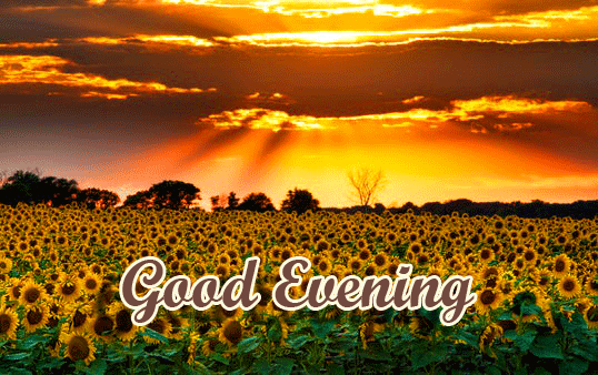Good Evening Wishes Images Download 58