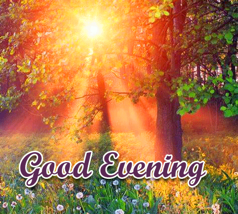 Good Evening Wishes Images Download 61