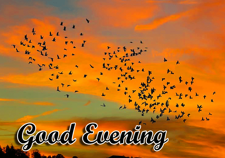 Good Evening Wishes Images Download 64
