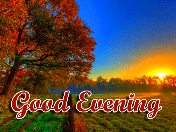 Good Evening Wishes Images Download 70