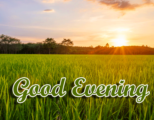 Good Evening Wishes Images Download 73