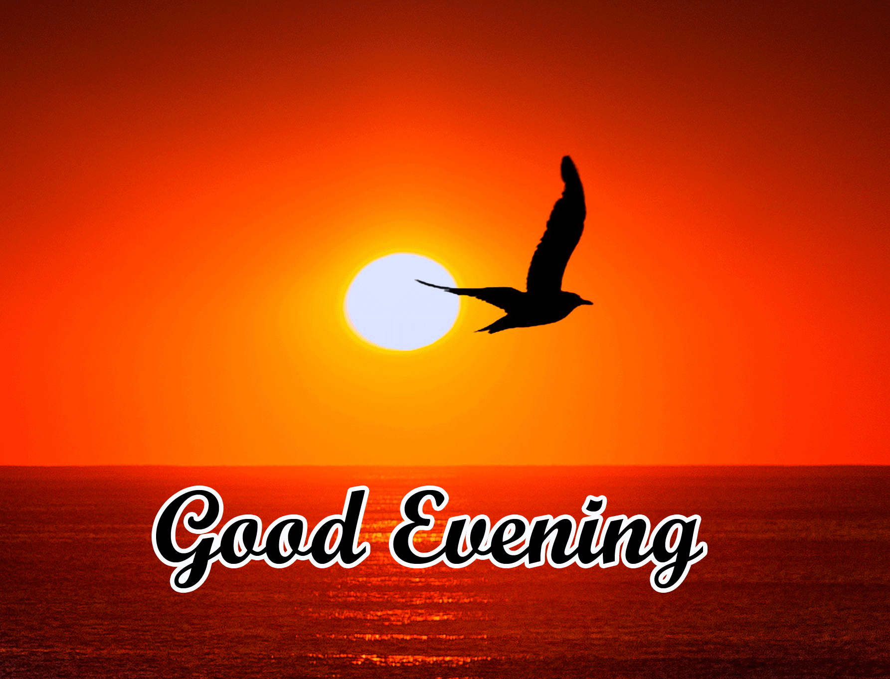 Good Evening Wishes Images Download 80