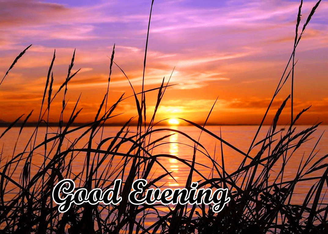 Good Evening Wishes Images Download 82