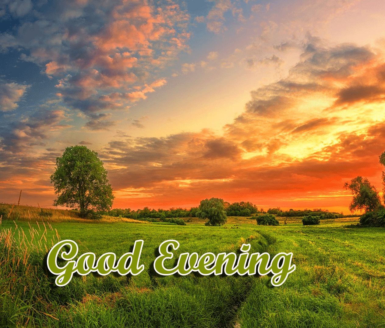 Good Evening Wishes Images Download 83