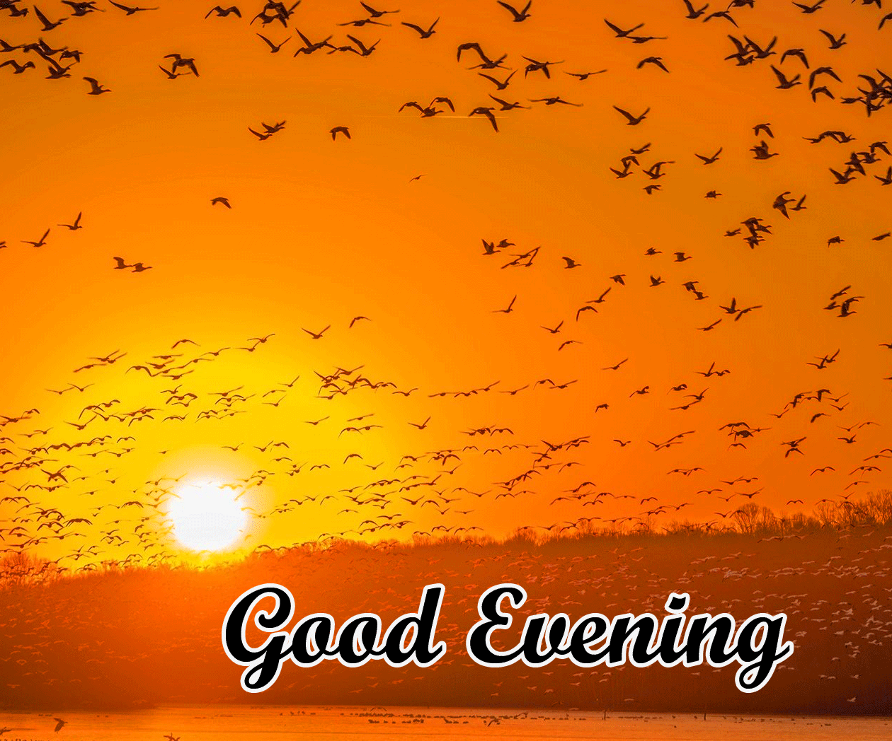 Good Evening Wishes Images Download 91