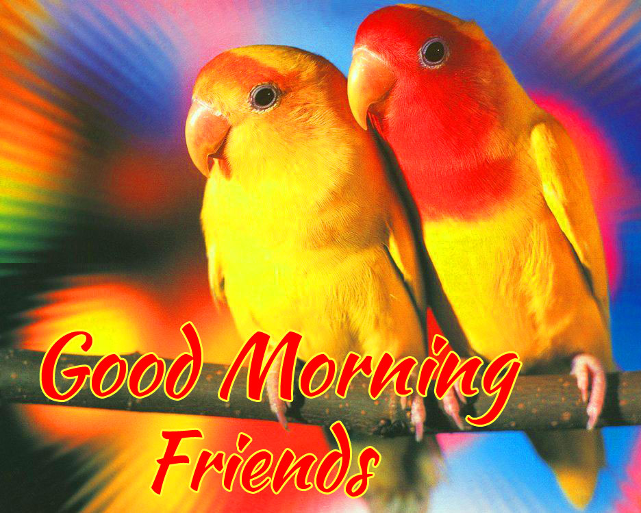 Good Morning Friends Images Pics free Download 