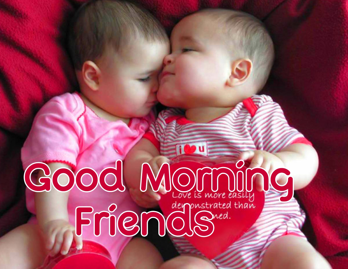 Good Morning Friends Images Wallpaper free Download 