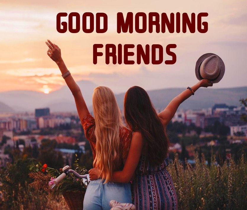 Good Morning Friends Images Pics Wallpaper Free Download 