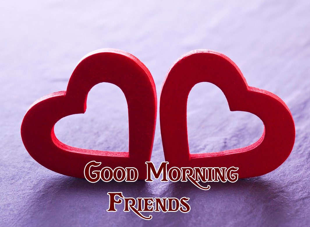 Good Morning Friends Images Wallpaper Free Download 