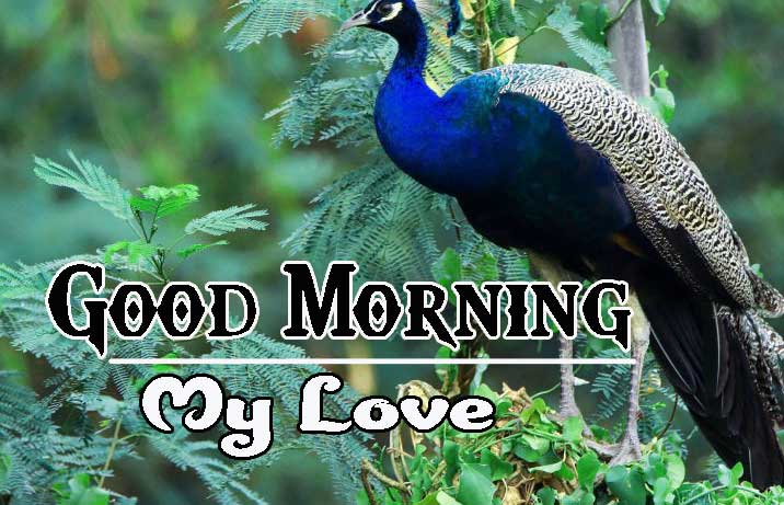 Good Morning Images HD 5