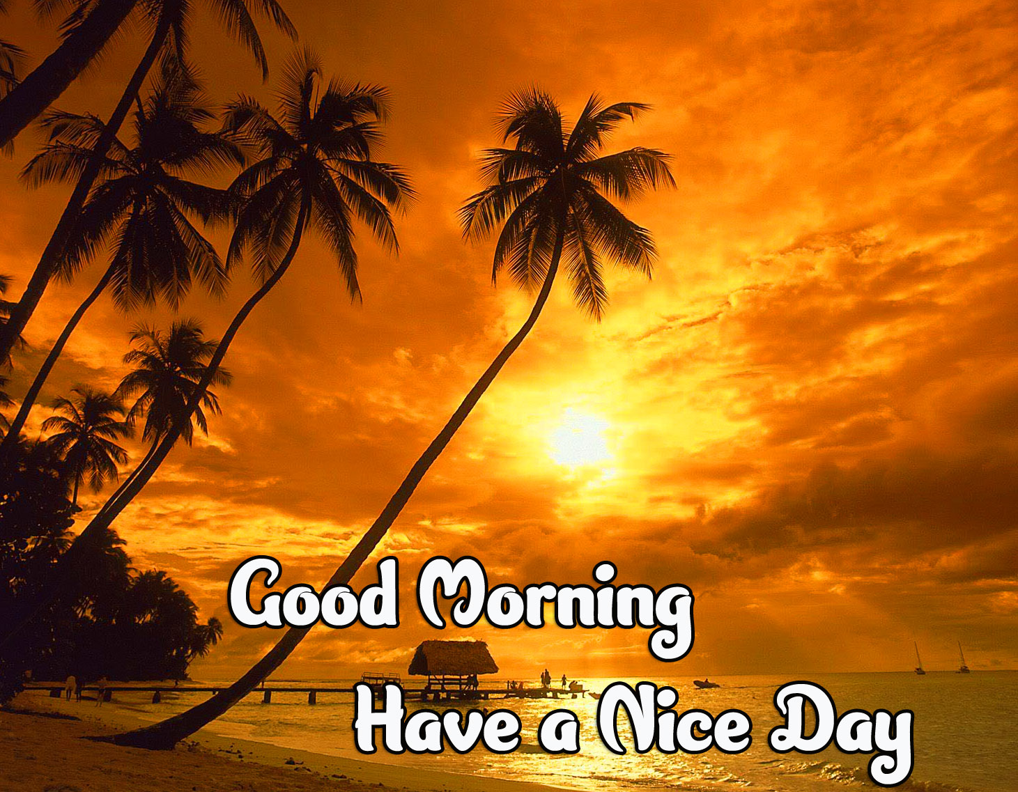 Good Morning Images Pics Photo Download 