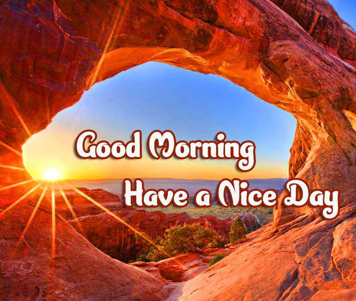Good Morning Images photo Free Download