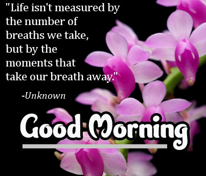 Good Morning Images Pics photo Download Free 