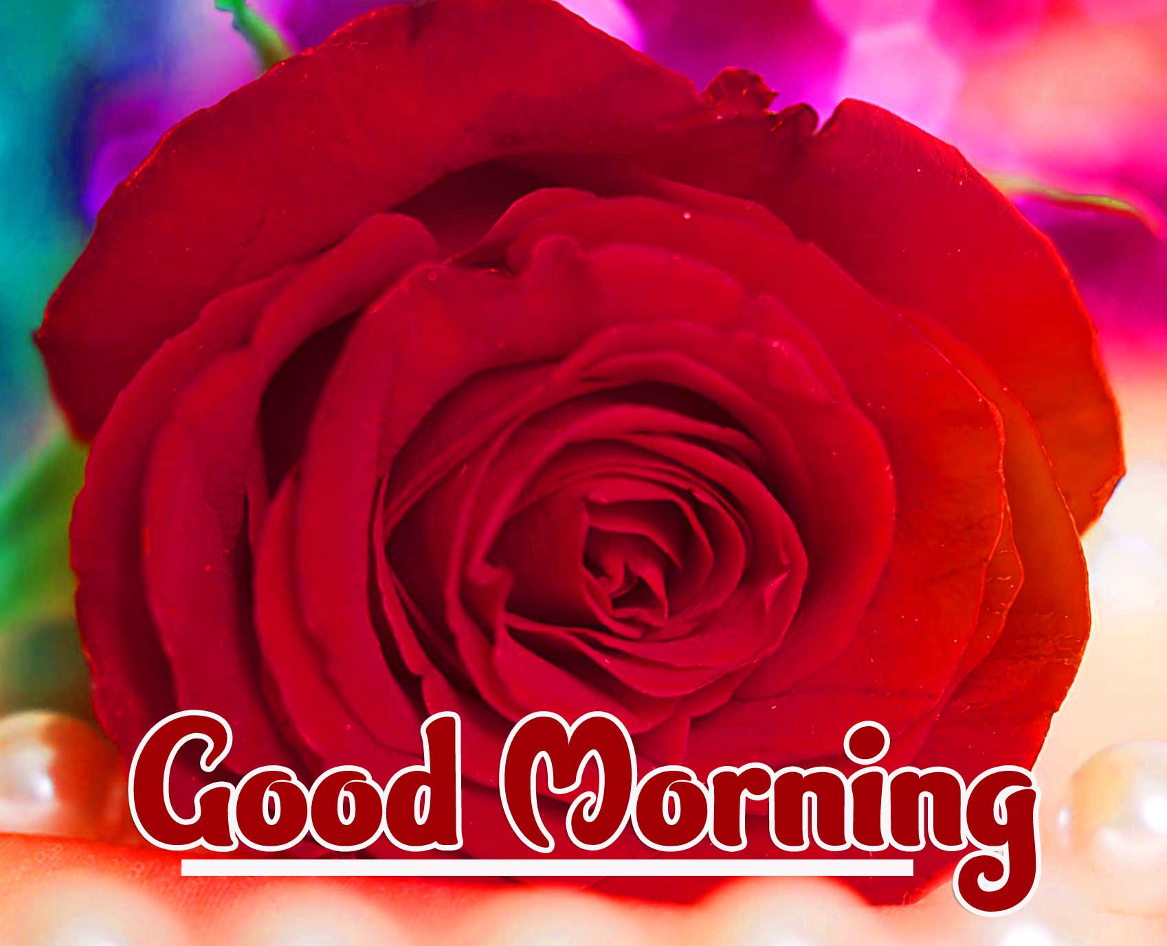 Red Rose Good Morning Wallpaper pics Pictures Download 