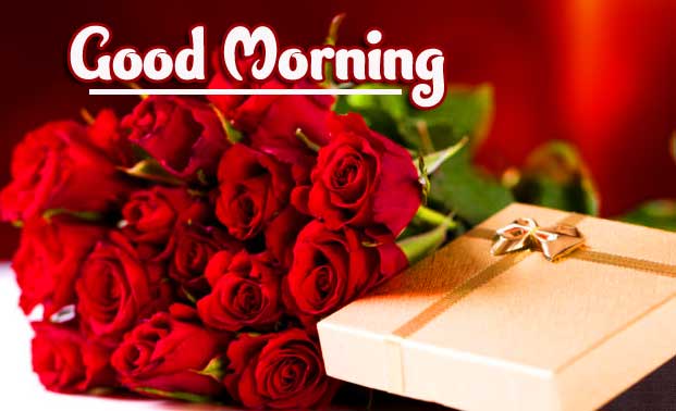 Red Rose Good Morning Wallpaper Pics pictures Download 
