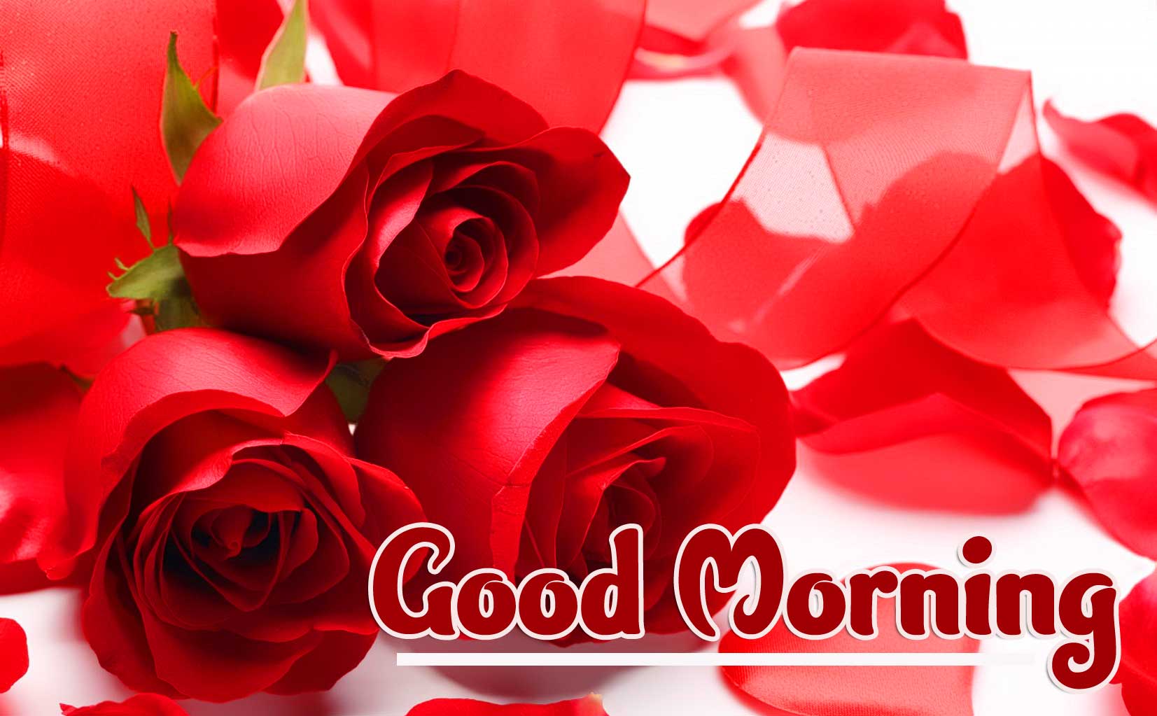 Red Rose Free Good Morning Wallpaper Pics Pictures Download 