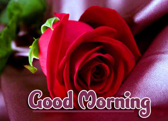 For Girlfriend Good Morning Wallpaper Pic Download 