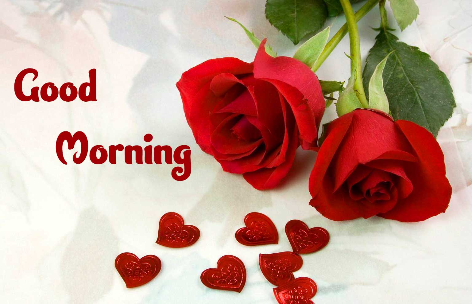 Good Morning Wallpaper Pics Wallpaper photo Download With Red Rose 