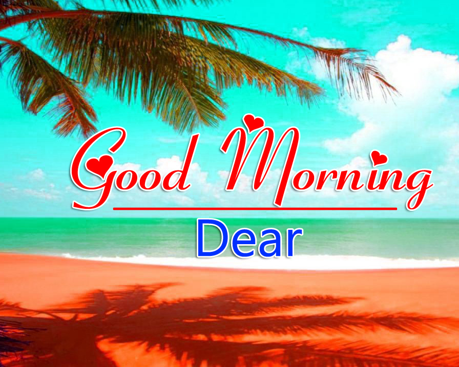Nature Great Good Morning Whatsapp DP Profile Images Pics pictures Download 