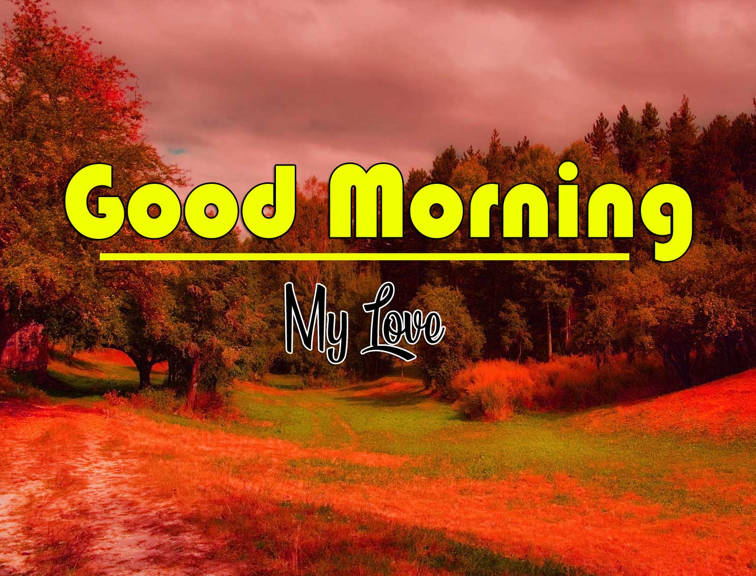 Free Good Morning Wishes Wallpaper Pics Download 