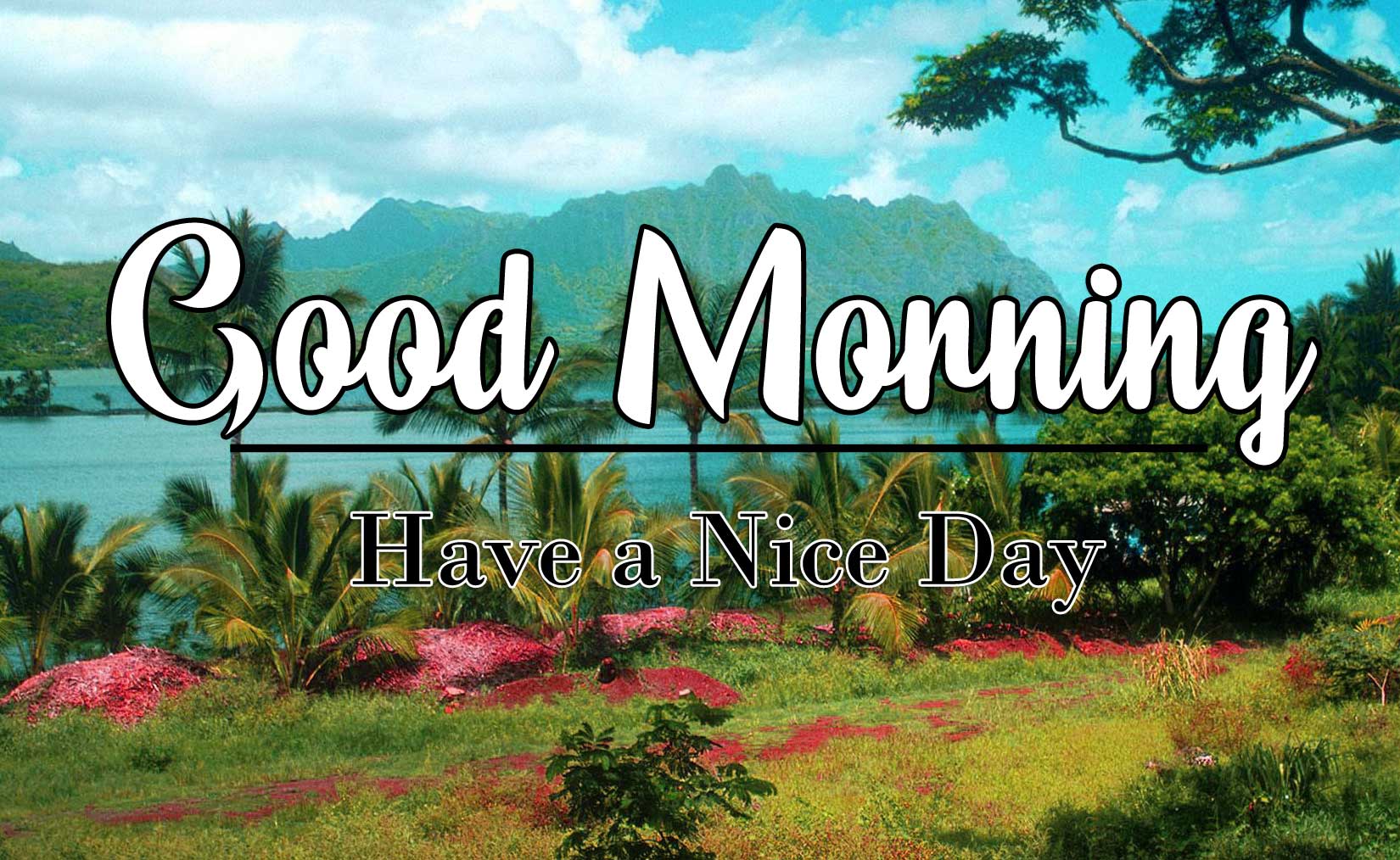 Good Morning Wishes Wallpaper Pics Wallpaper Free Download