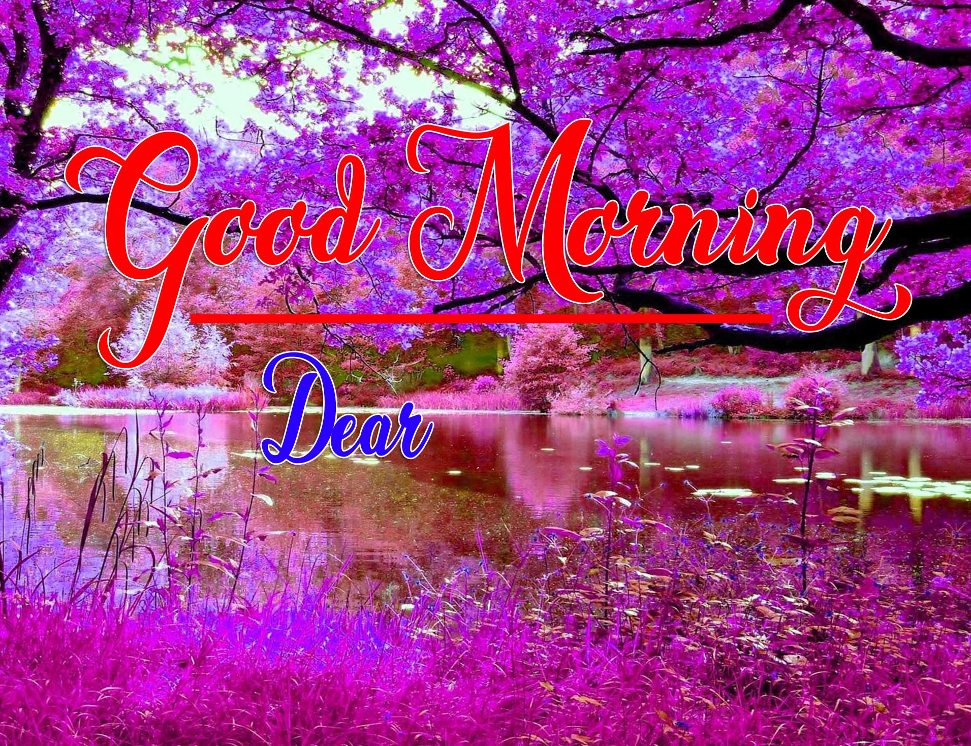 Good Morning Wishes Wallpaper Pics Pictures Download 