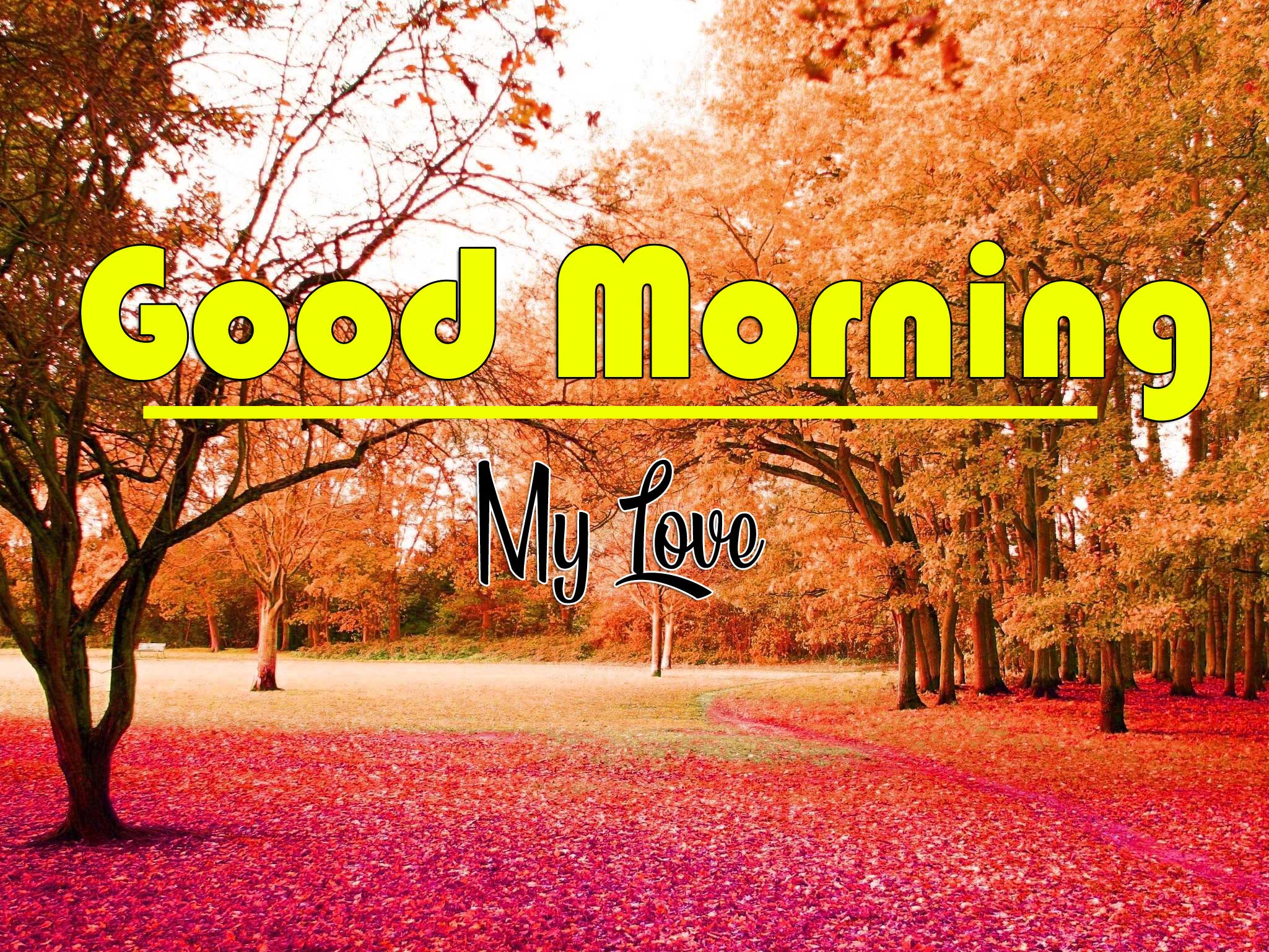 Good Morning Wishes pics Pictures Download 