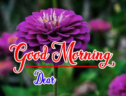 Good Morning Wishes Pics Wallpaper Free Download 