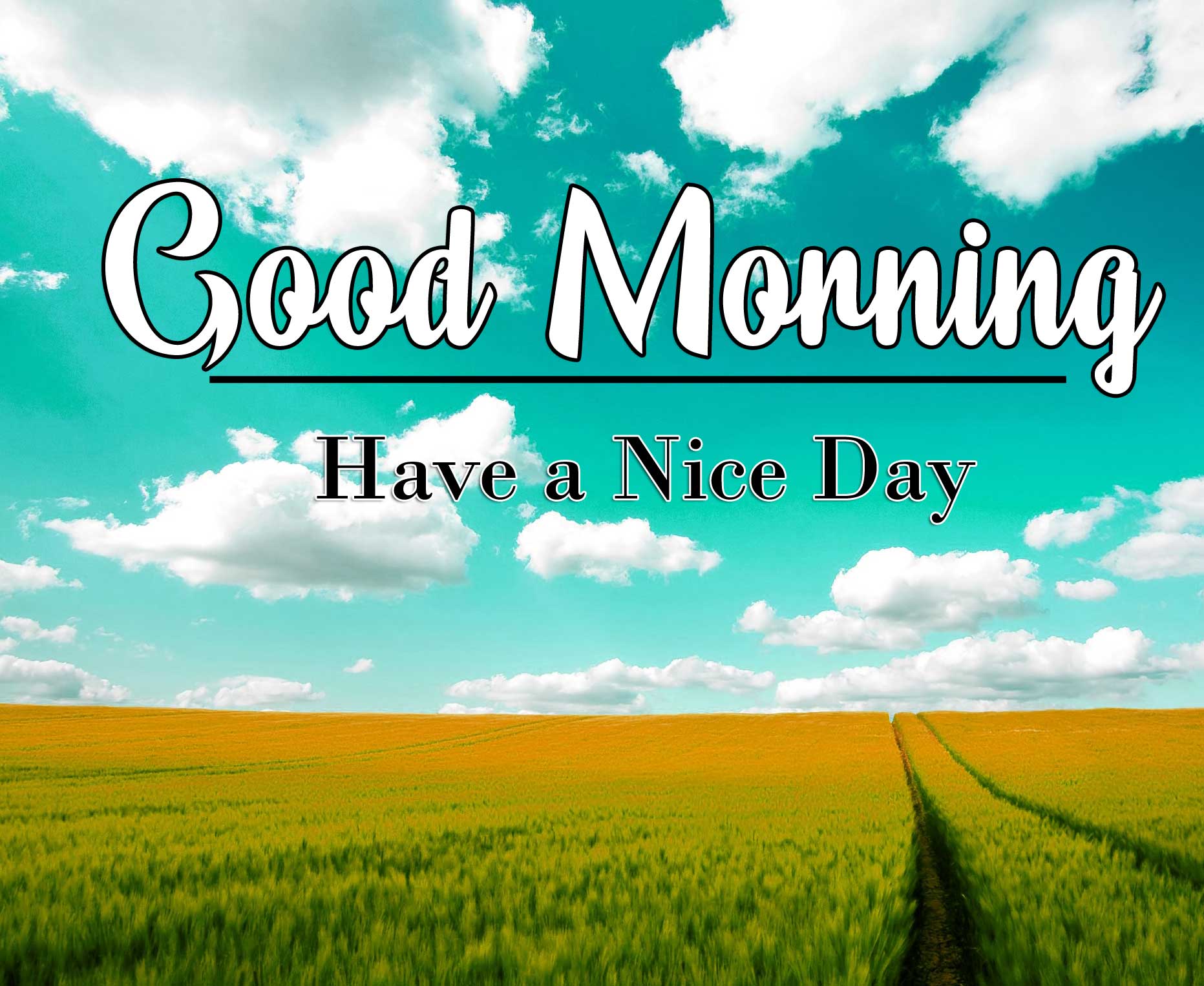 Good Morning Wishes Pics photo Download 