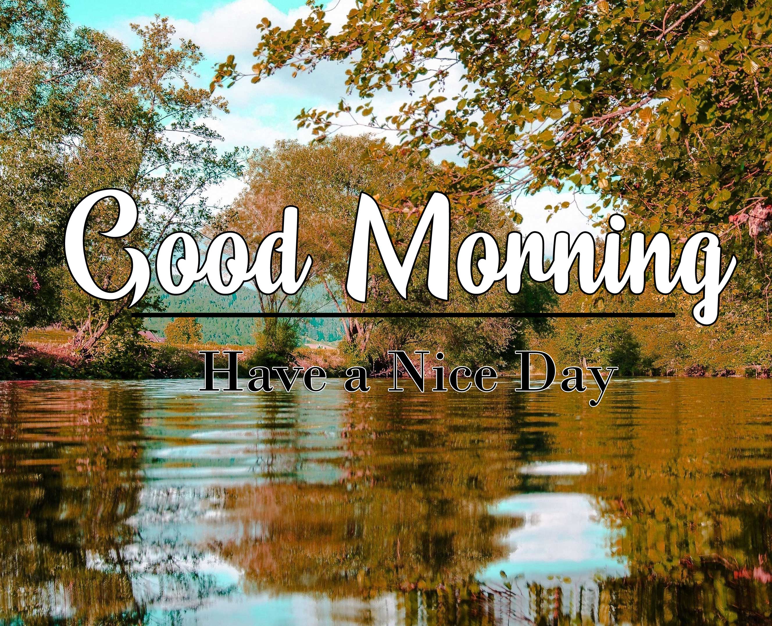 Good Morning Wishes photo Download 