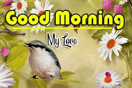 Good Morning Wishes Pics Pictures Download 