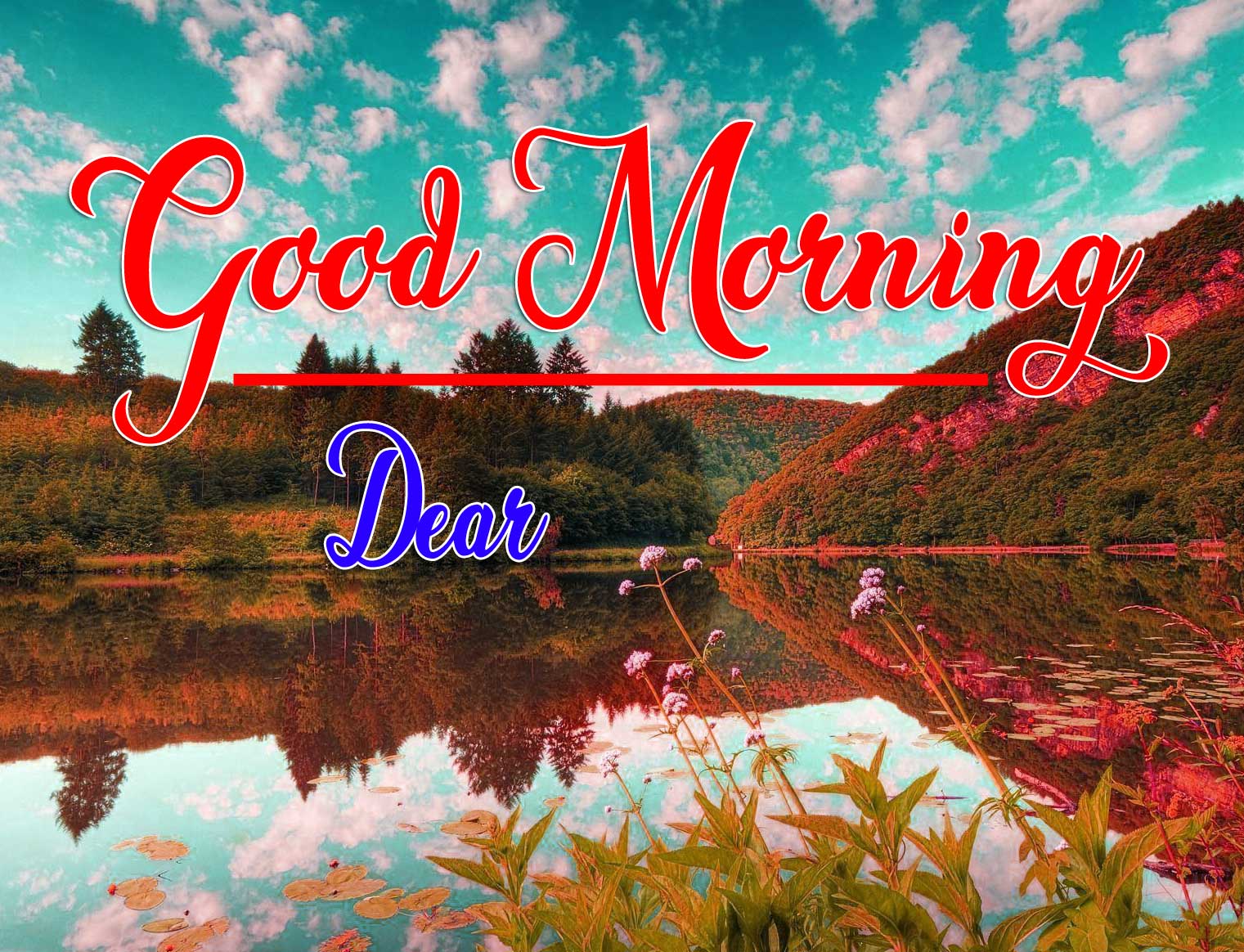 Good Morning Wishes Photo Download 