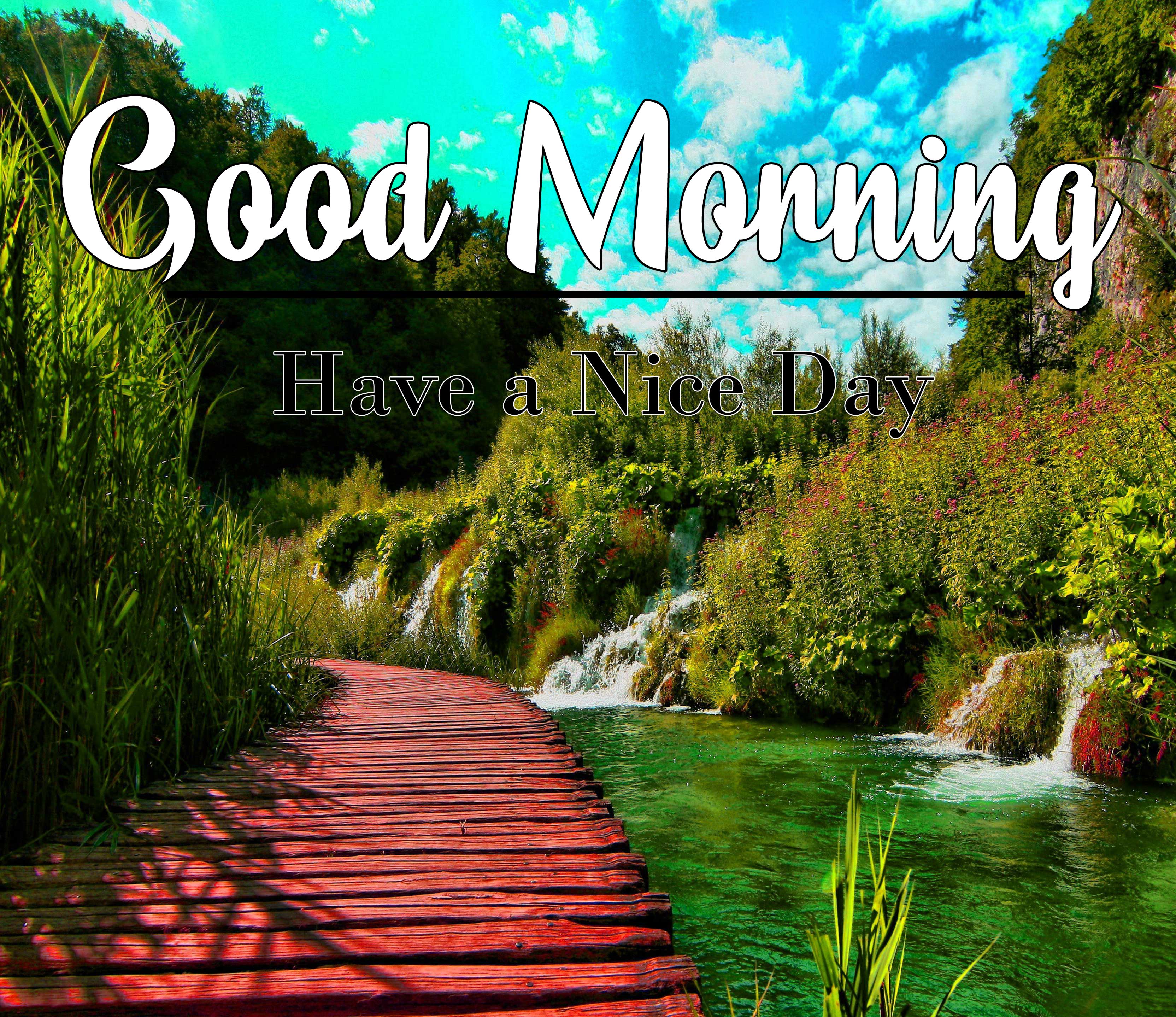Good Morning Wishes Pics Wallpaper Free Download 